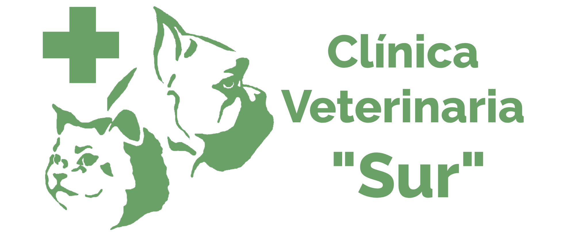 Clinica Veterinaria Sur Dos Hermanas S.L.P.